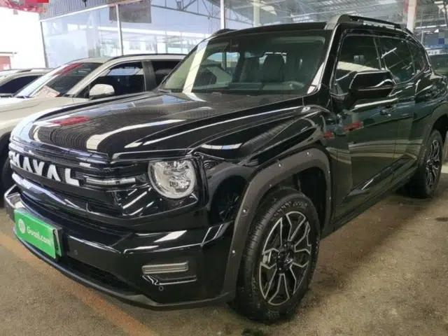 Haval H Dog New Energy 2026 Model Hi4 150km Trendy Electric Edition