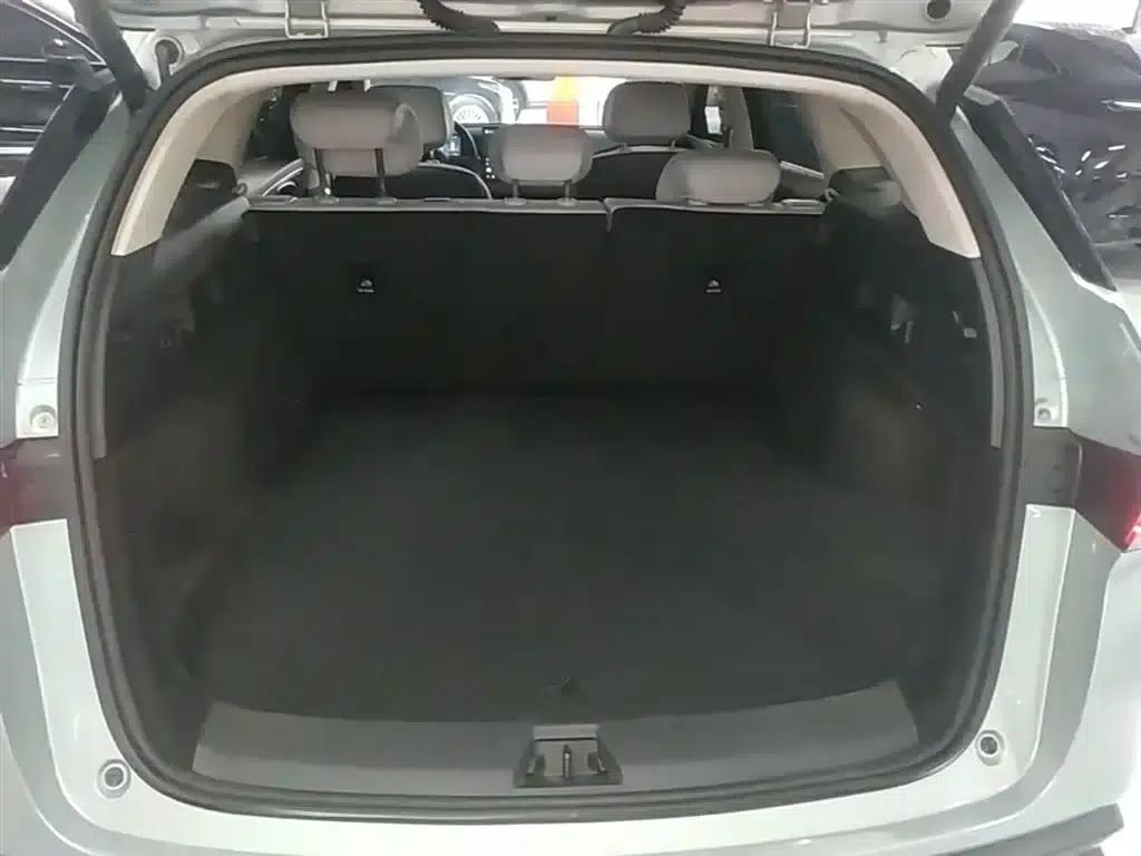 Seal 06 DM-i Touring Edition 2025 DM-i 150KM Flagship Model — миниатюра 19