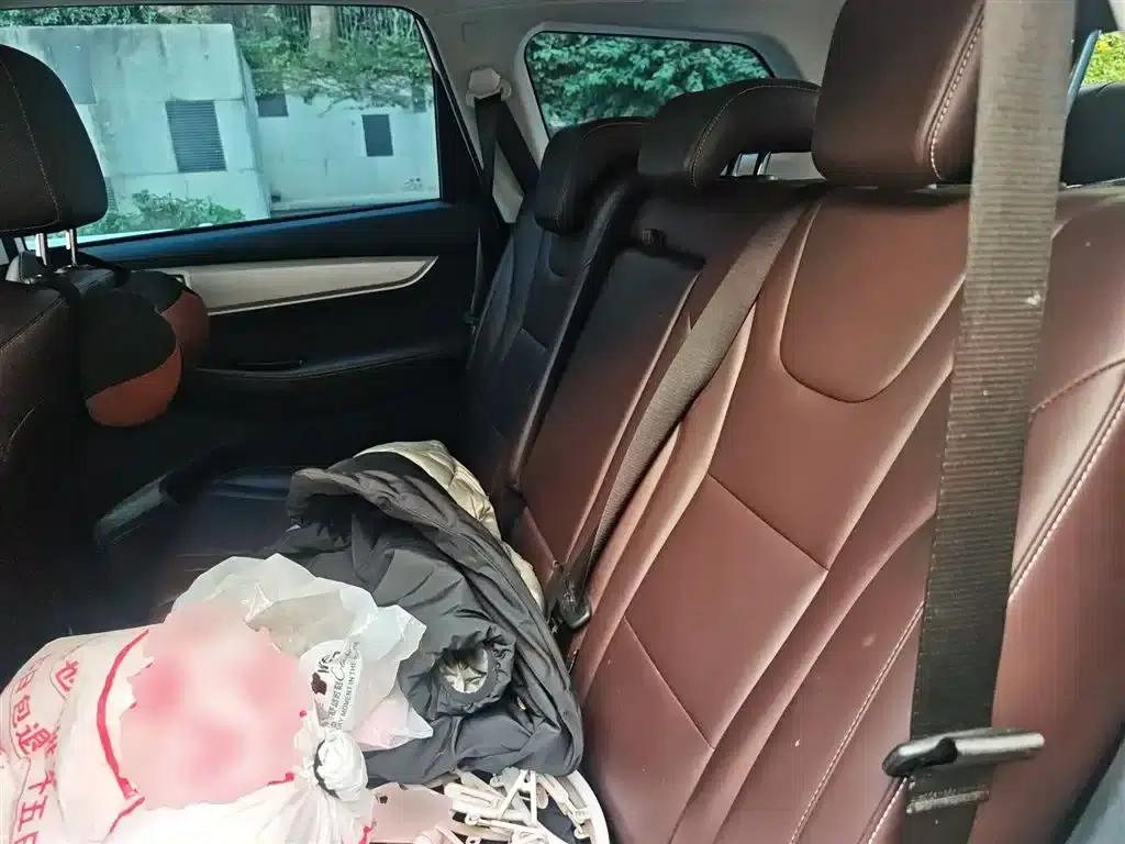Fengxing T5L 2020 Facelift 1.5T Automatic Luxury 7-Seater — миниатюра 14