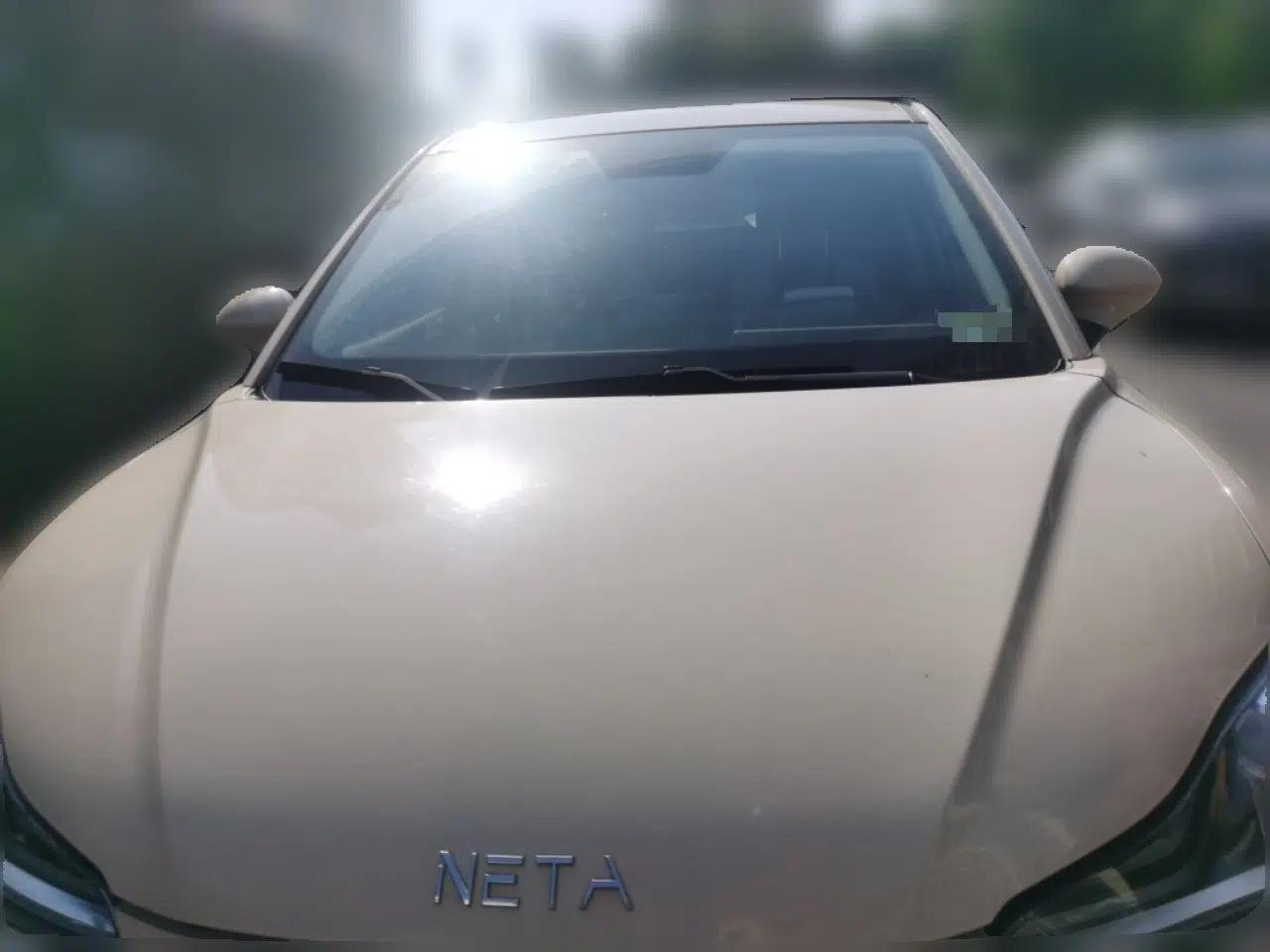 NETA AYA 2023 401 Lite — миниатюра 2