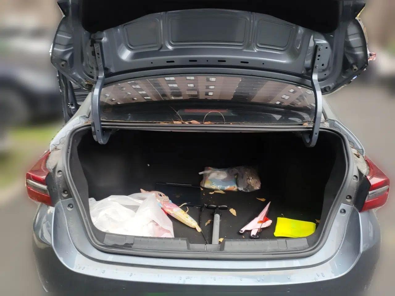 Chery Arrizo GX 2018 1.5T Manual Version Emission Standard China V — миниатюра 16