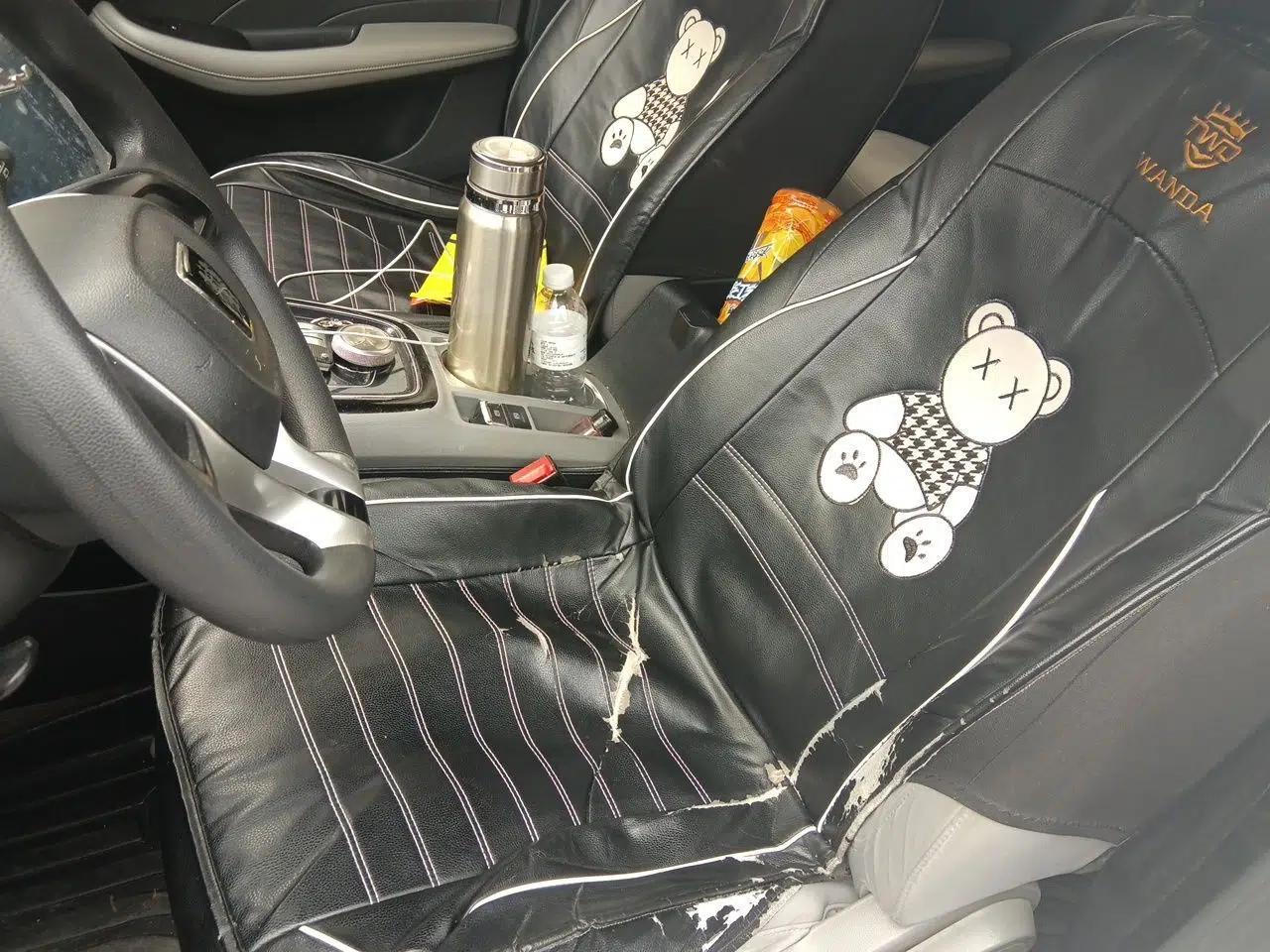 Roewe Ei5 2019 Comfort Edition — миниатюра 16