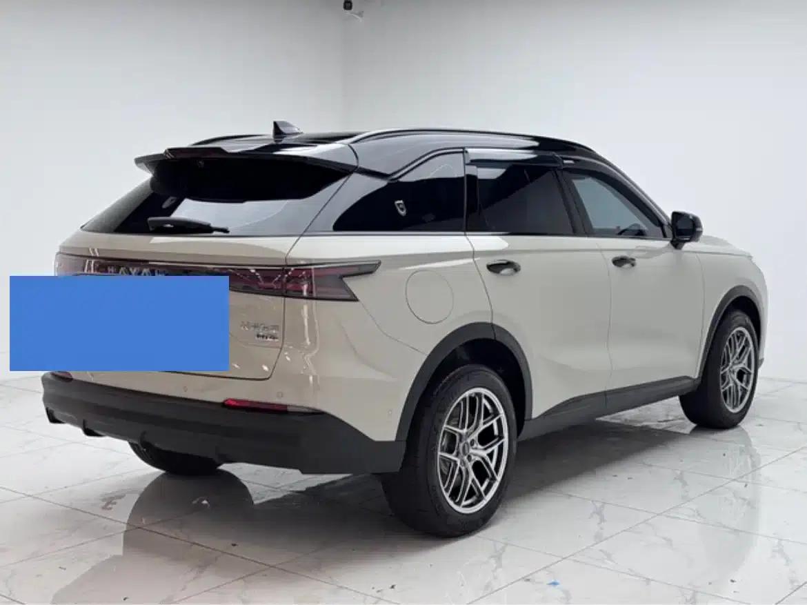 Haval Xiaolong MAX 2025 Hi4 110 Plus Smart Driving Edition — миниатюра 7