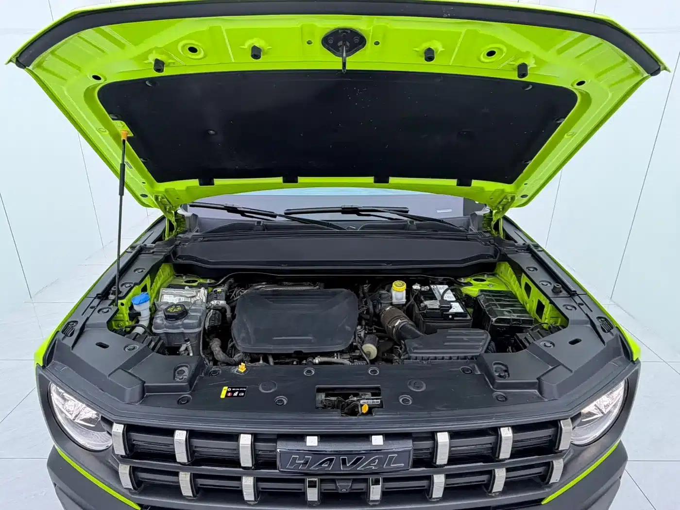 Haval Cool Dog 2022 1.5T DCT 4WD Trendy Wild Edition — миниатюра 16