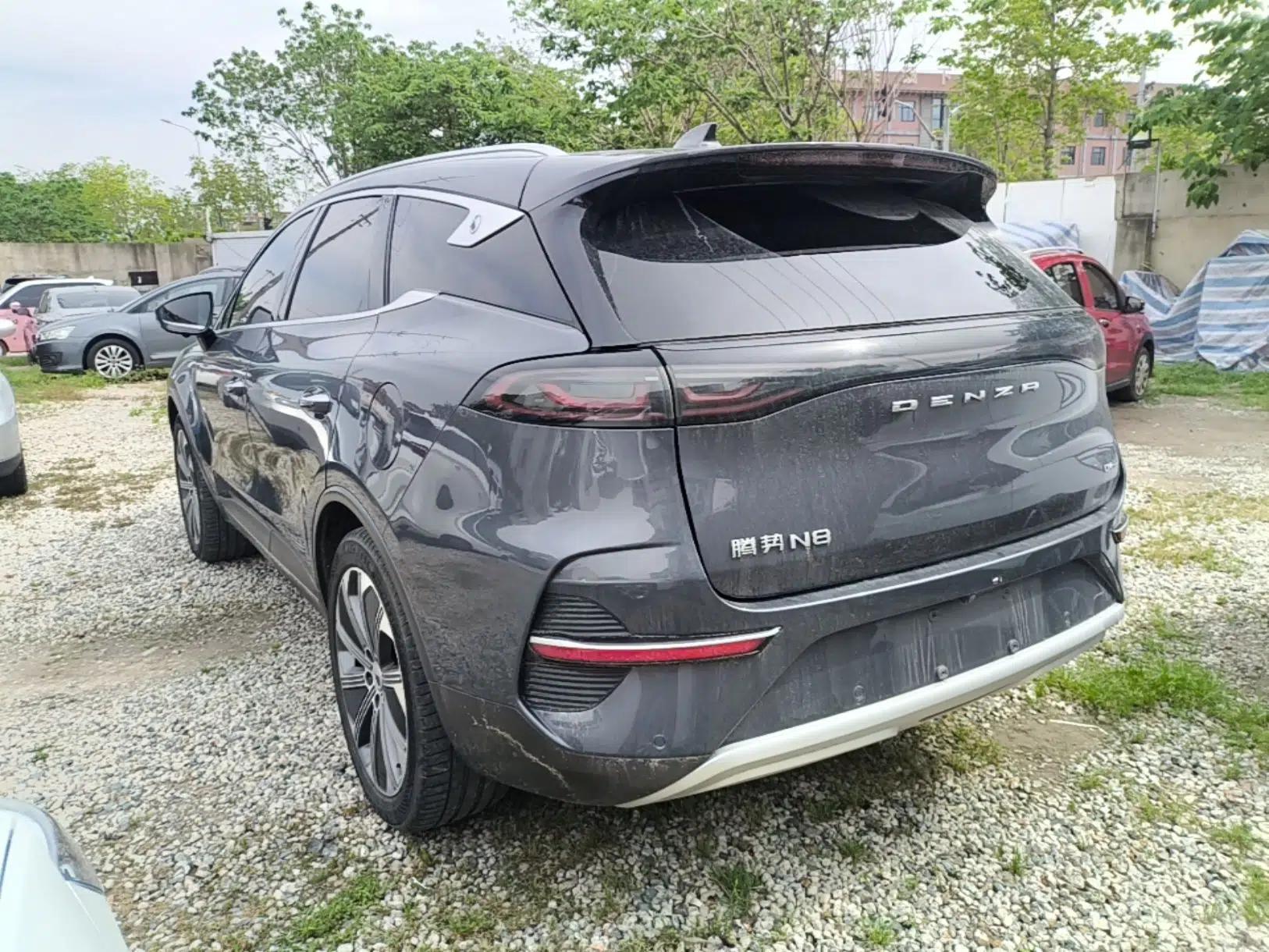 Denza N8 2023 Four-Wheel Drive Ultra-Hybrid Flagship Six-Seater Version — миниатюра 4