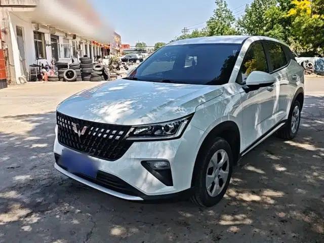Wuling Alvez 2022 1.5L Manual Free-Style Model