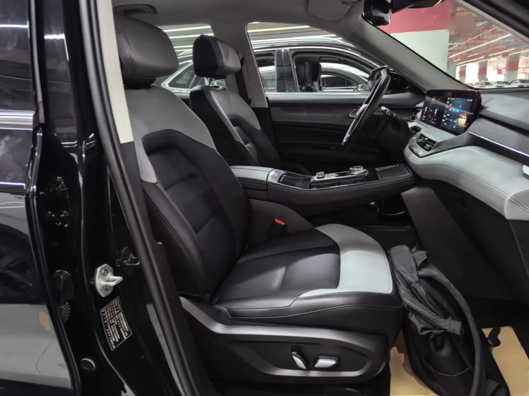 Ford Equator New Energy 2025 Platinum Edition — миниатюра 23