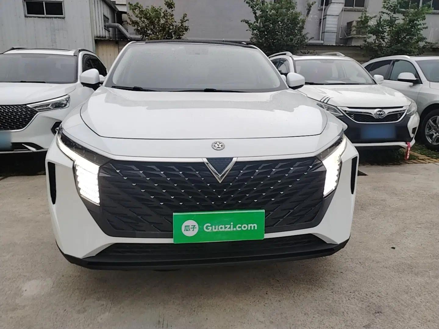 Venucia V 2021 260T Idol Edition — миниатюра 2