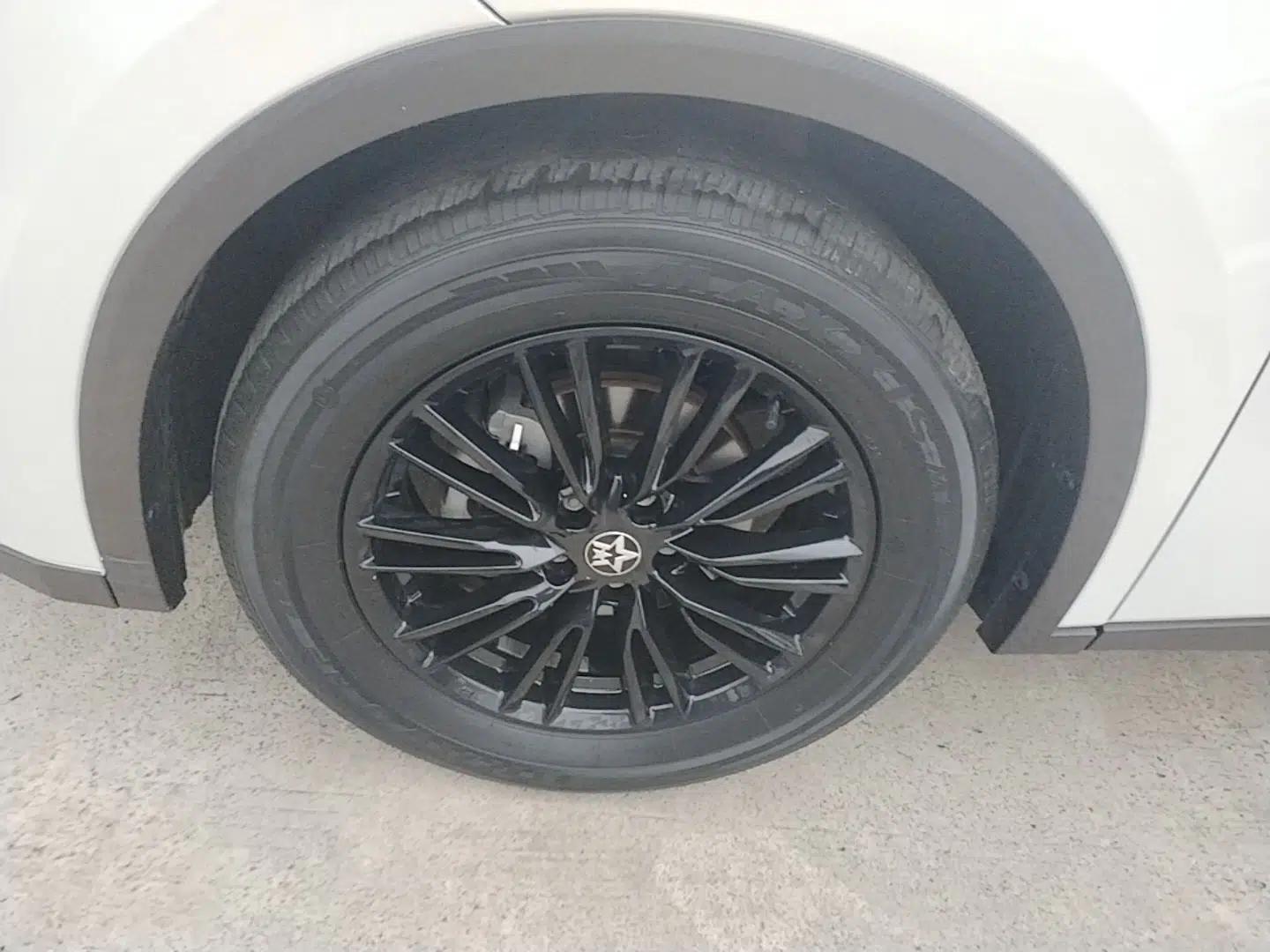 Venucia V 2021 260T Idol Edition — миниатюра 8