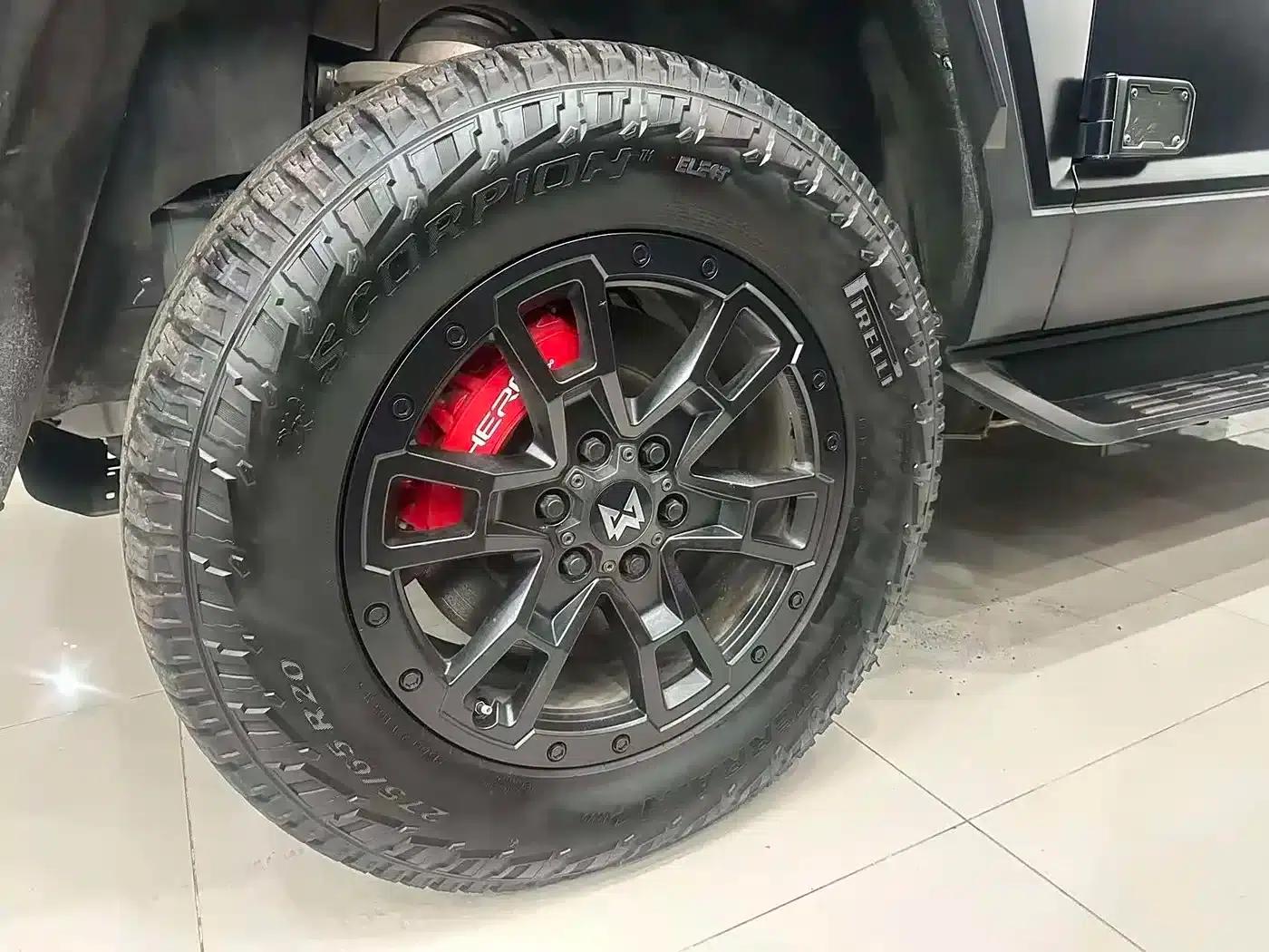 Warrior 917 2023 Pure Electric Basic Edition — миниатюра 9