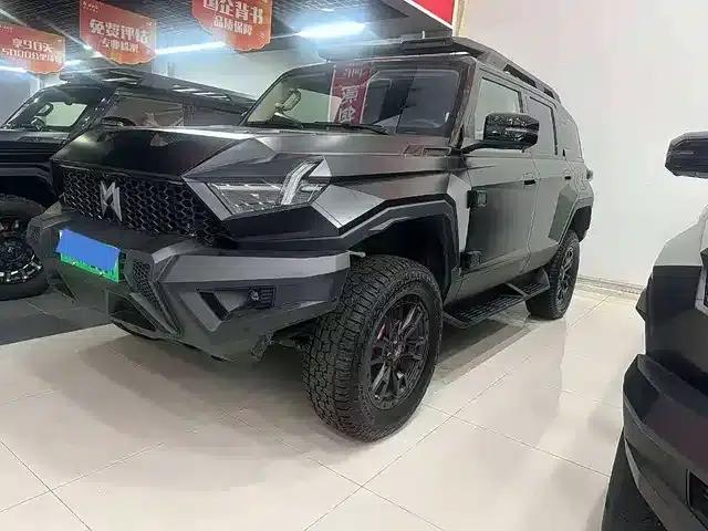 Warrior 917 2023 Pure Electric Basic Edition