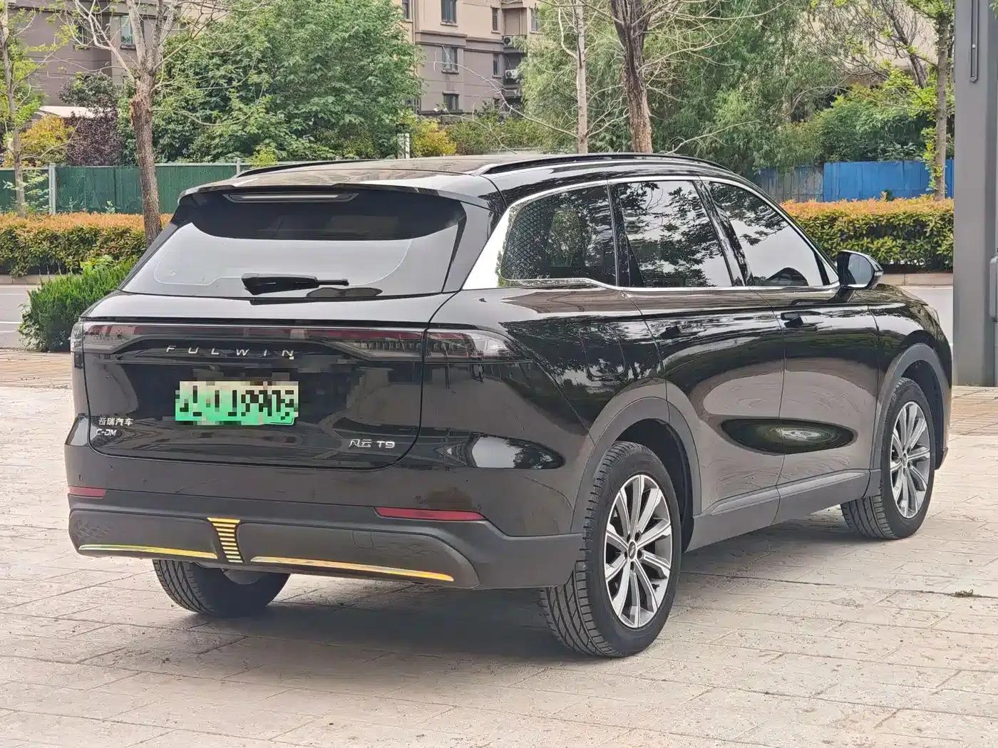 Fengyun T9 2024 Model 120 Long Range Luxury 5-Seater Ternary Lithium — миниатюра 4