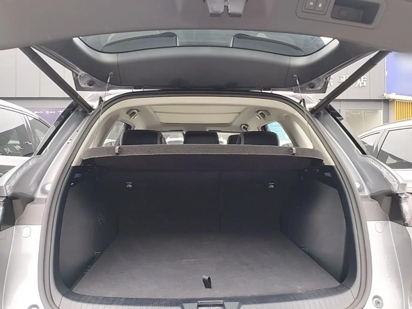 BYD Sealion 05 DM-i 2025 DM-i Smart Drive 115KM Flagship Model — миниатюра 21