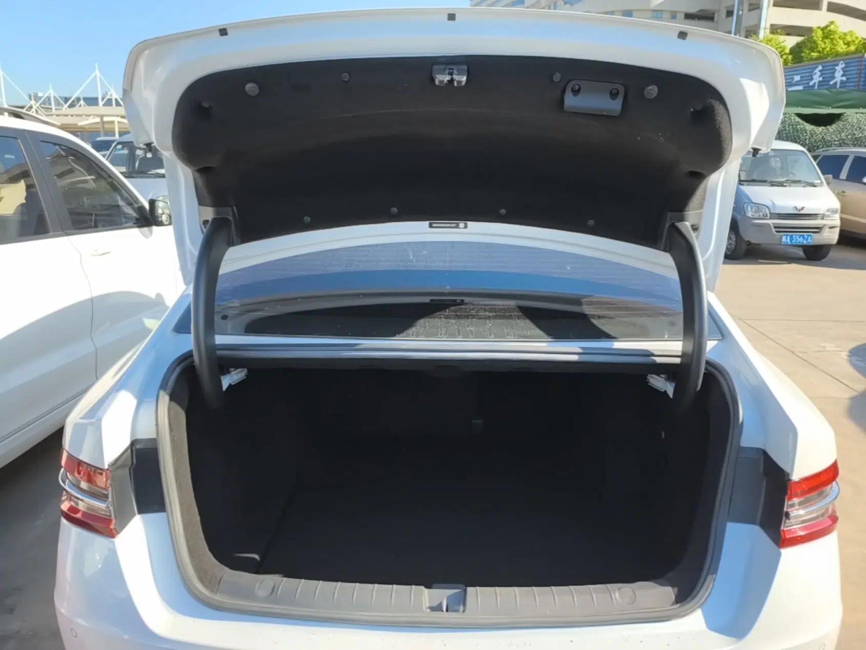 BYD Qin Pro New Energy 2019 EV Super Edition High-Power Smart Connect Luxurious Model — миниатюра 22