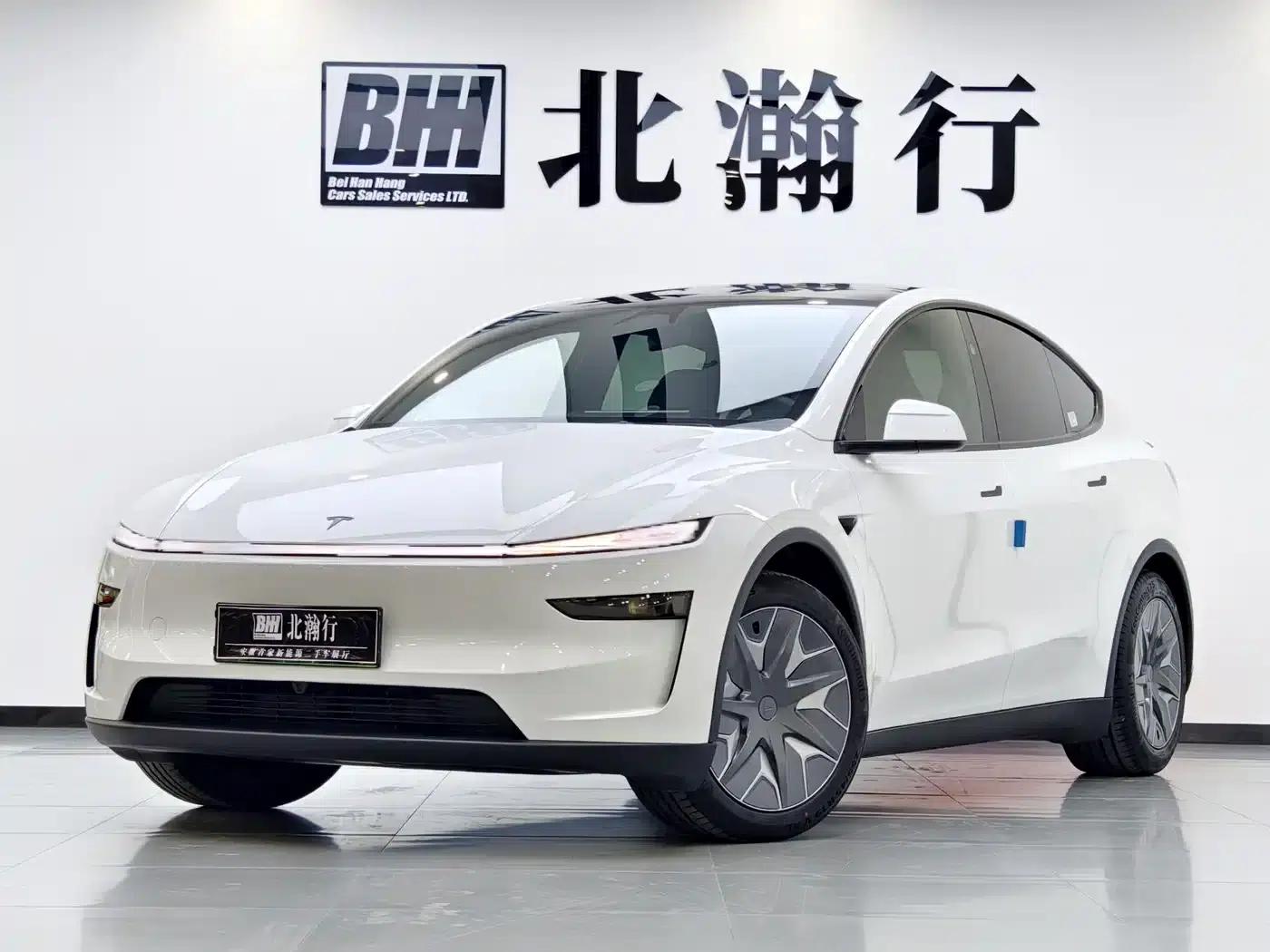Model Y L 2025 Long Range All-Wheel Drive — миниатюра 1