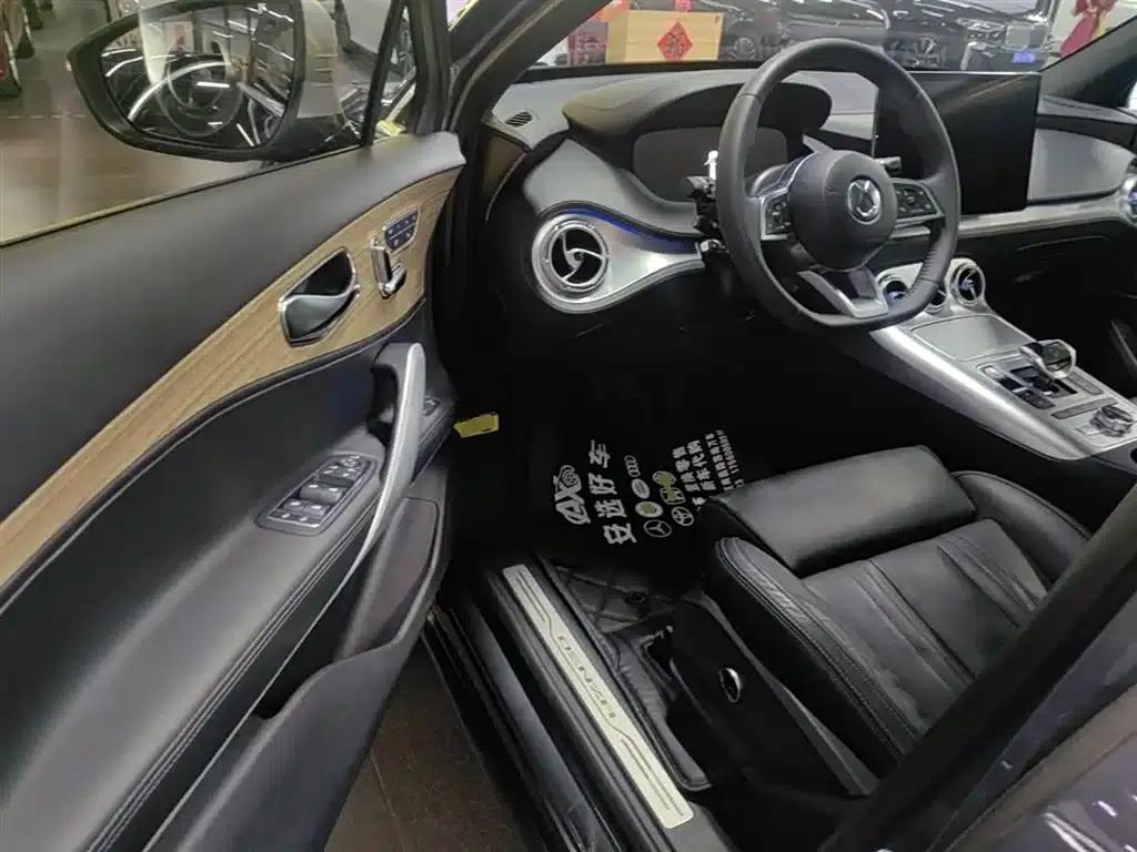 Denza X 2020 PHEV Flagship Edition — миниатюра 16