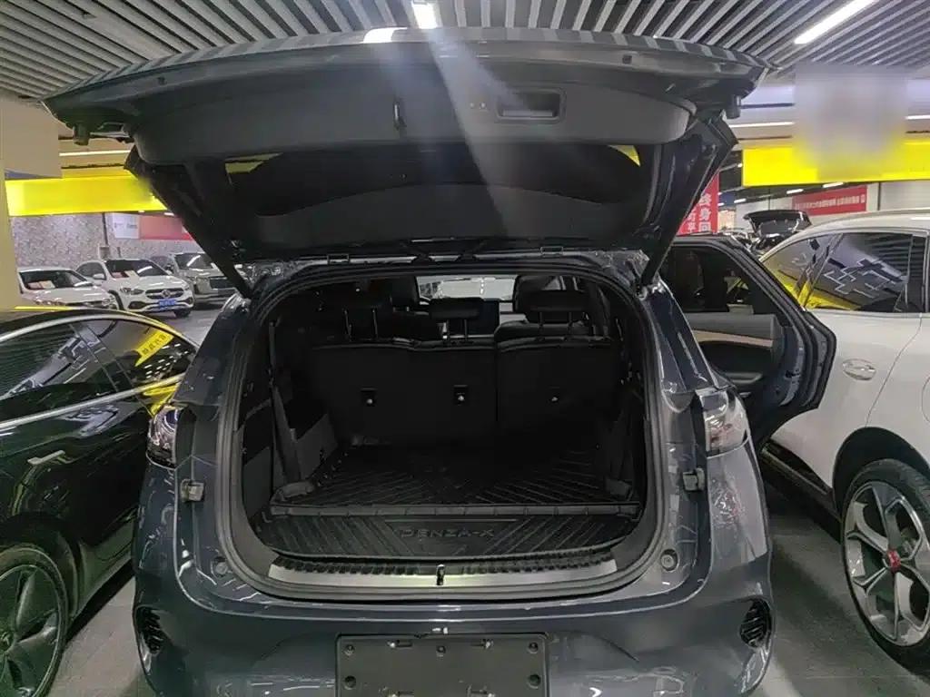 Denza X 2020 PHEV Flagship Edition — миниатюра 19