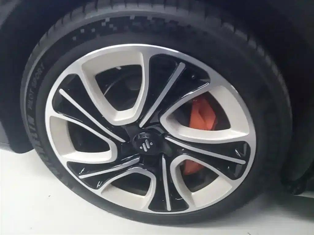 2024 Smart LS7 100kWh Max Lux Rear-Wheel Drive Edition — миниатюра 23