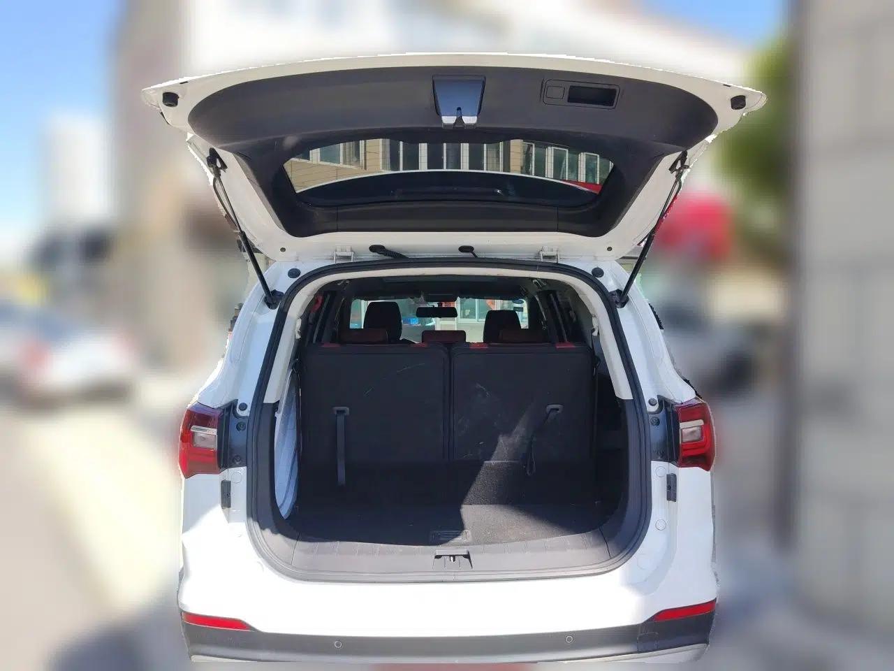 FORTHING T5L 2020 1.5T Automatic Luxury 7-Seater China VI Standard — миниатюра 20