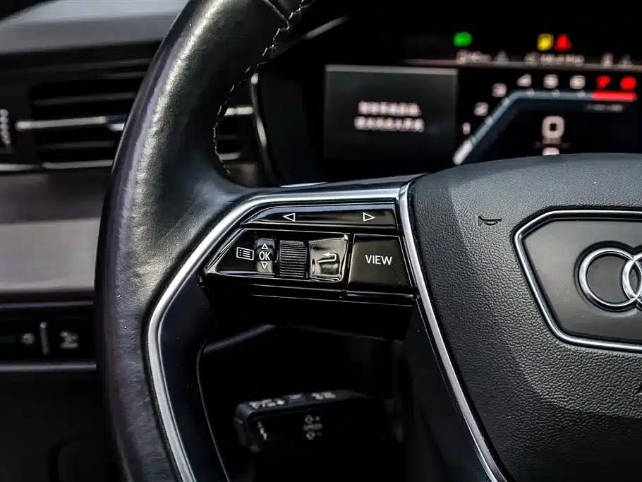 Audi Q6 2024 40 TFSI quattro Cloud View Edition, Feathered Forest Package, 7-seater — миниатюра 16
