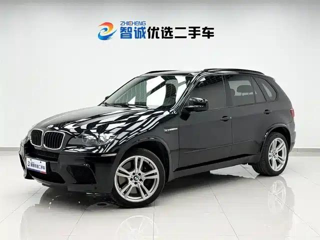 2010 BMW X5 M