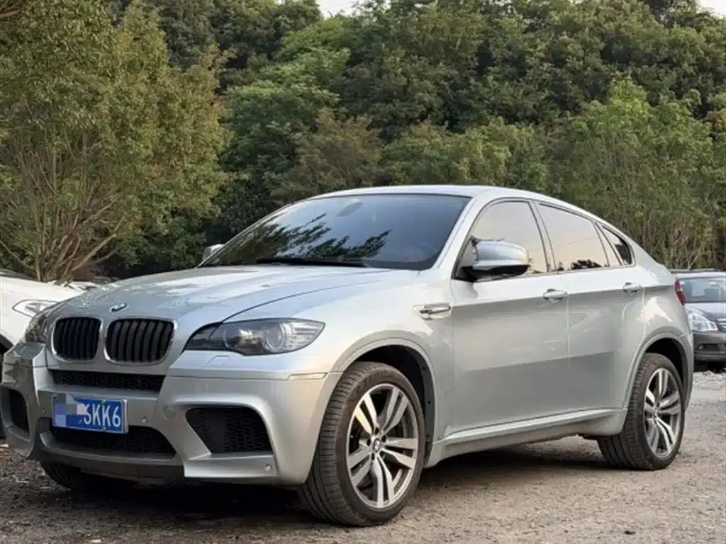 2010 BMW X6 M — миниатюра 1