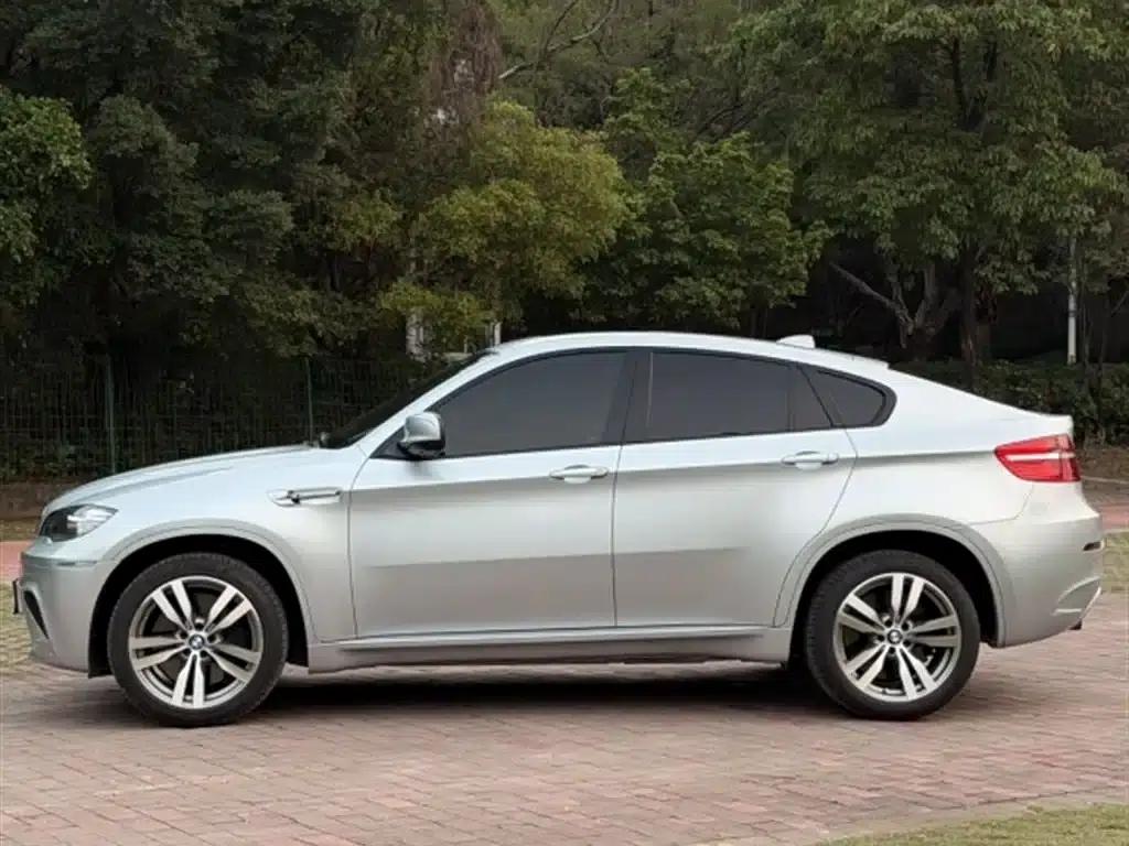 2010 BMW X6 M — миниатюра 9