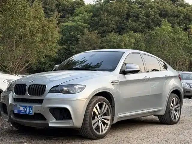 2010 BMW X6 M