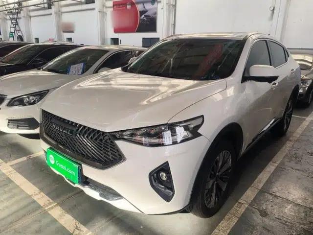 Haval F7x 2021 1.5T Two-Wheel Drive Smart Technology Edition