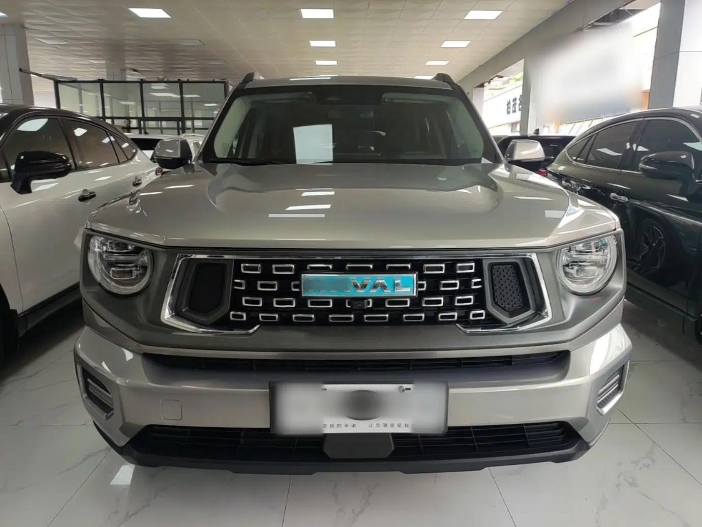 Haval H Dog New Energy 2023 DHT-PHEV 105km Tide Electric Version Plus — миниатюра 2