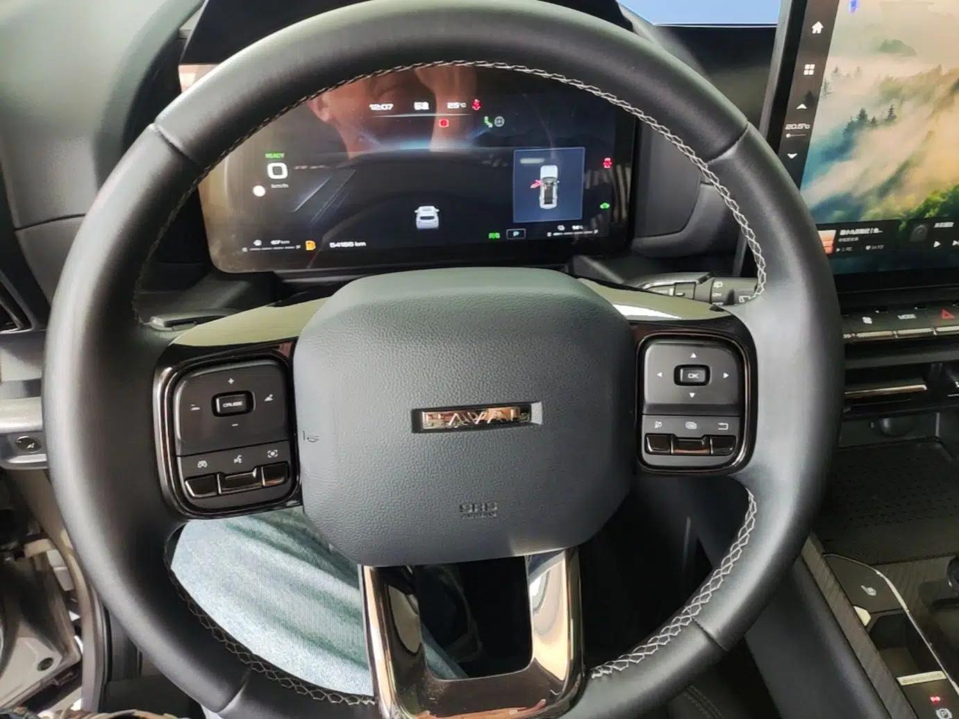 Haval H Dog New Energy 2023 DHT-PHEV 105km Tide Electric Version Plus — миниатюра 14