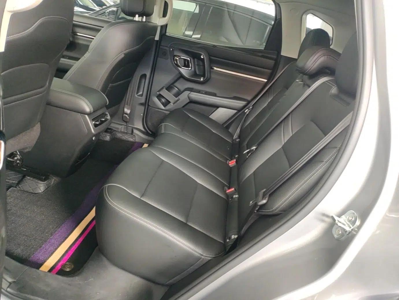 Haval H Dog New Energy 2023 DHT-PHEV 105km Tide Electric Version Plus — миниатюра 20