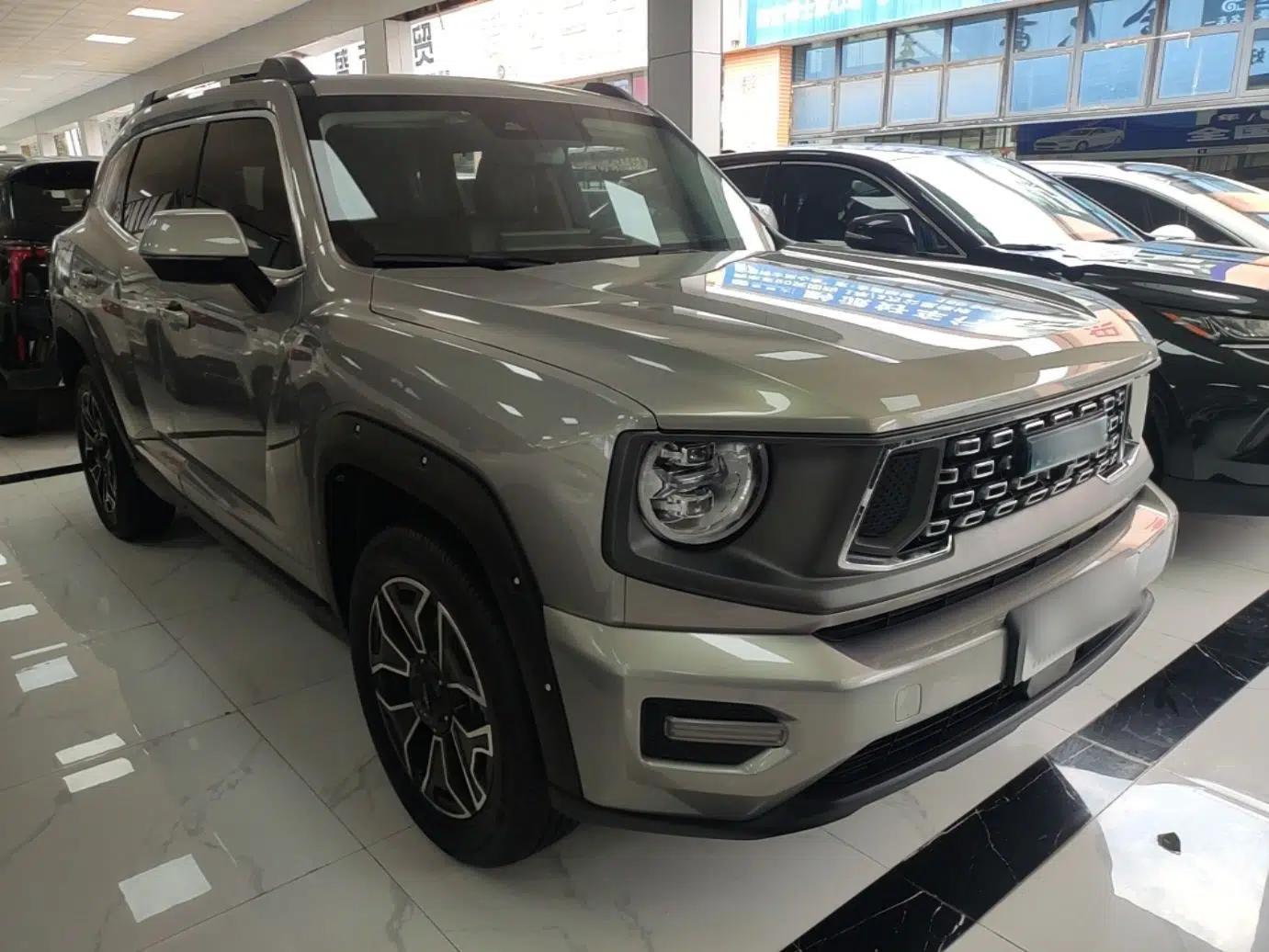 Haval H Dog New Energy 2023 DHT-PHEV 105km Tide Electric Version Plus — миниатюра 3