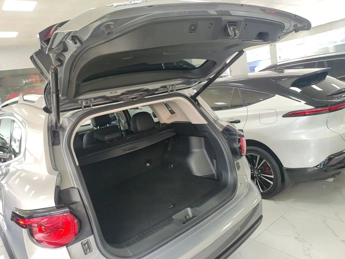 Haval H Dog New Energy 2023 DHT-PHEV 105km Tide Electric Version Plus — миниатюра 22