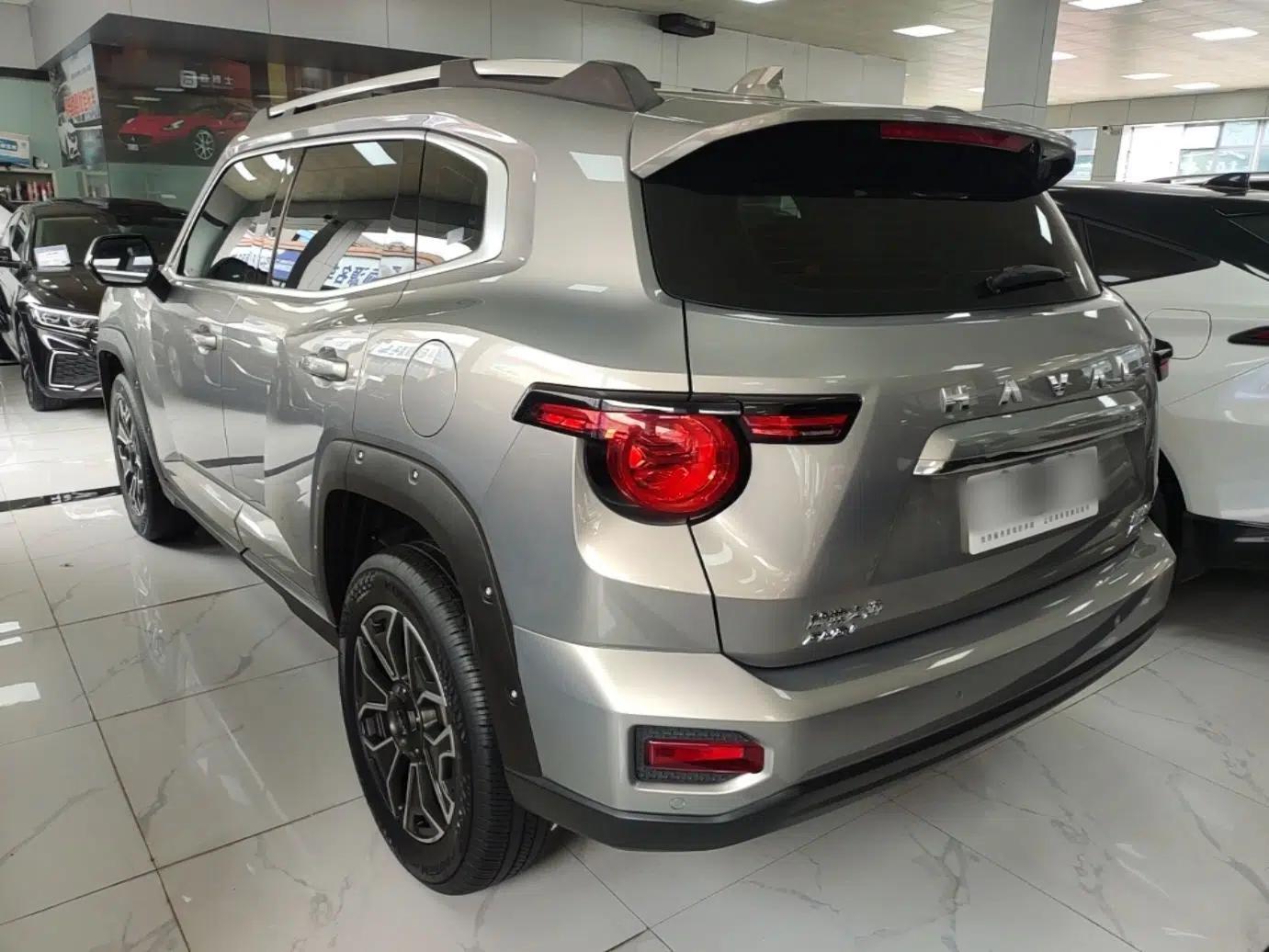 Haval H Dog New Energy 2023 DHT-PHEV 105km Tide Electric Version Plus — миниатюра 4