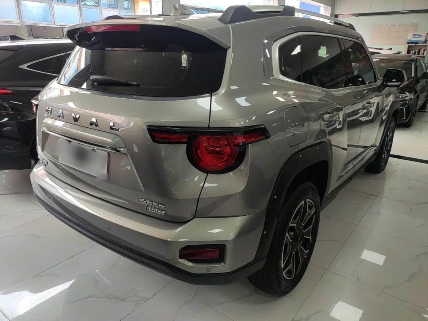 Haval H Dog New Energy 2023 DHT-PHEV 105km Tide Electric Version Plus — миниатюра 6