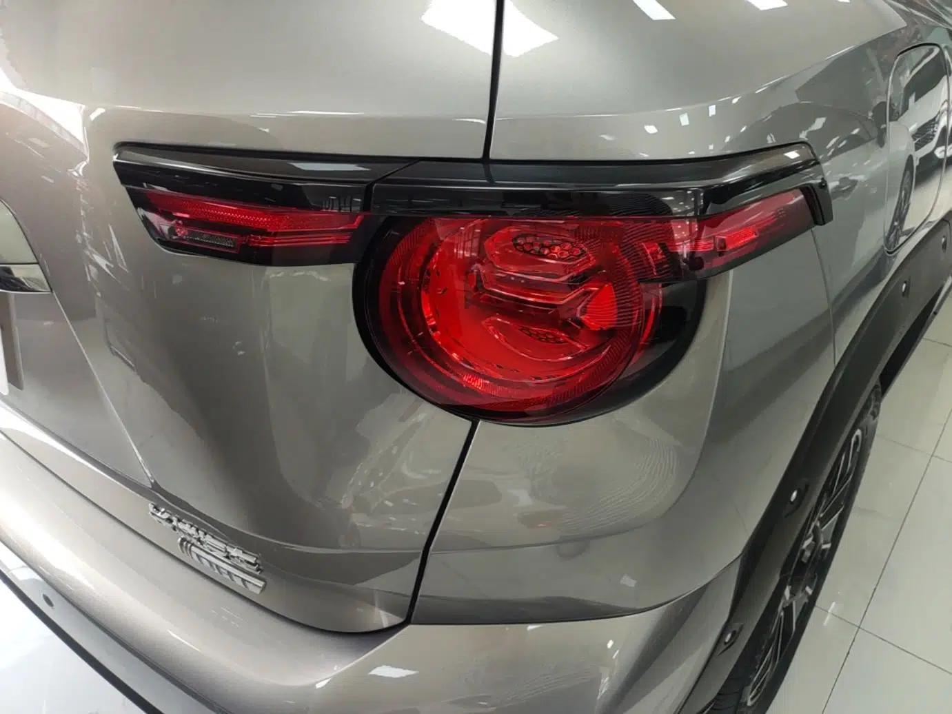Haval H Dog New Energy 2023 DHT-PHEV 105km Tide Electric Version Plus — миниатюра 7