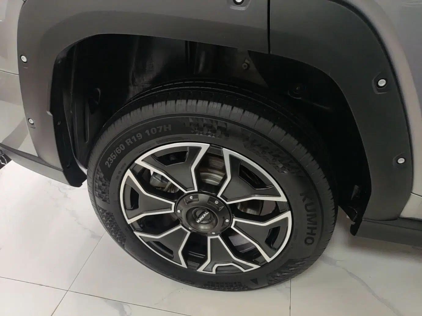 Haval H Dog New Energy 2023 DHT-PHEV 105km Tide Electric Version Plus — миниатюра 10