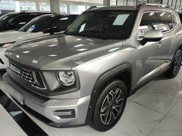 Haval H Dog New Energy 2023 DHT-PHEV 105km Tide Electric Version Plus