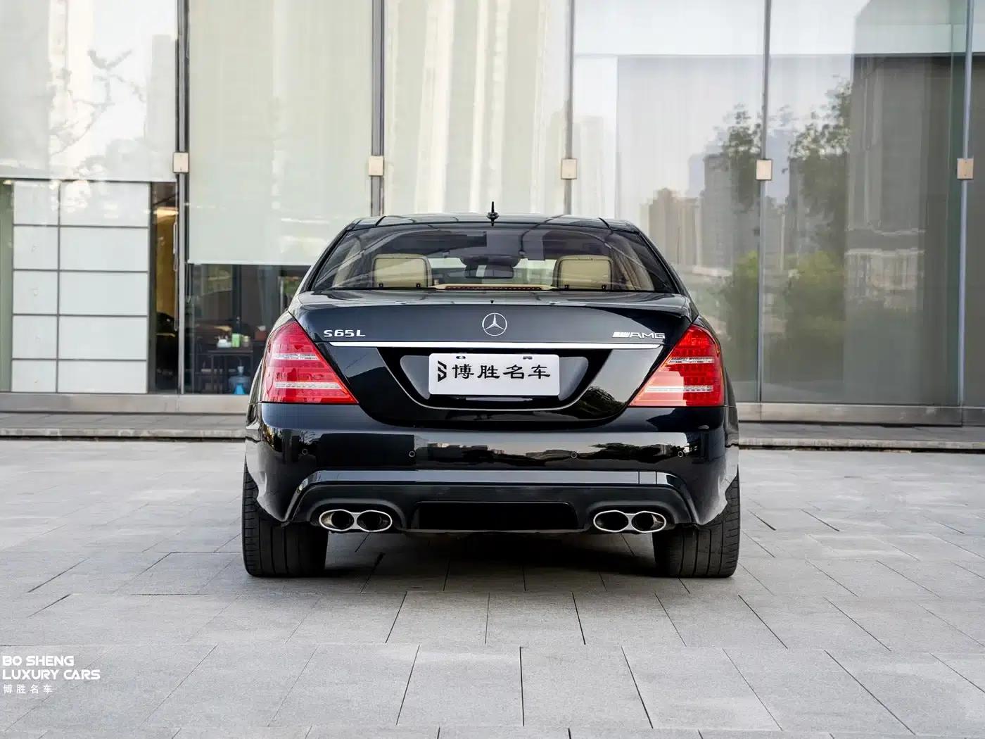 2010 Mercedes-Benz S-Class AMG S 65 — миниатюра 6