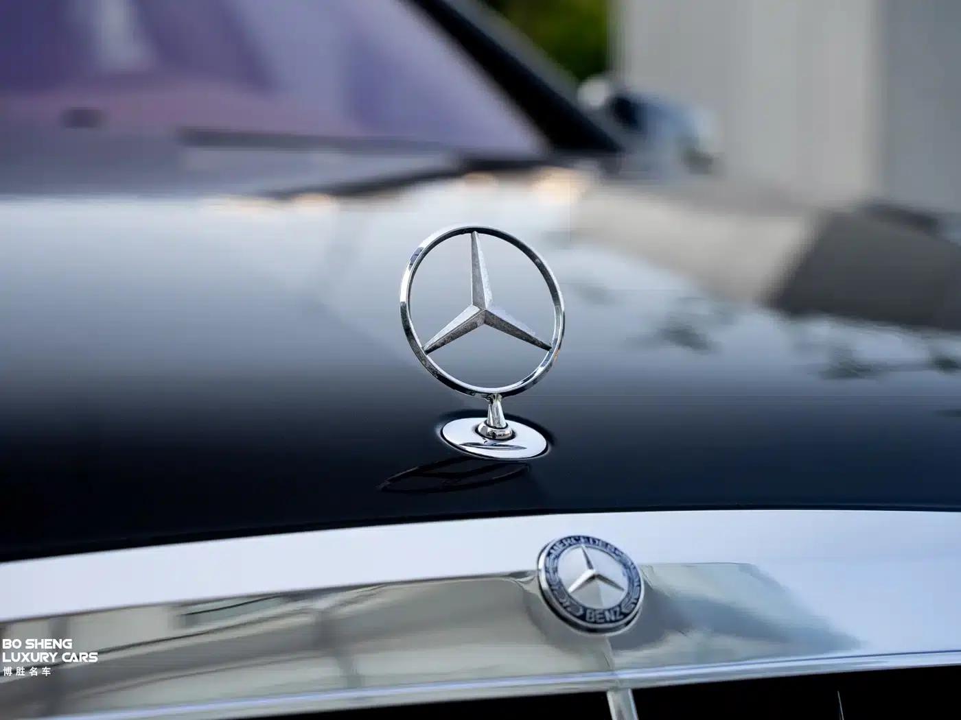 2010 Mercedes-Benz S-Class AMG S 65 — миниатюра 7