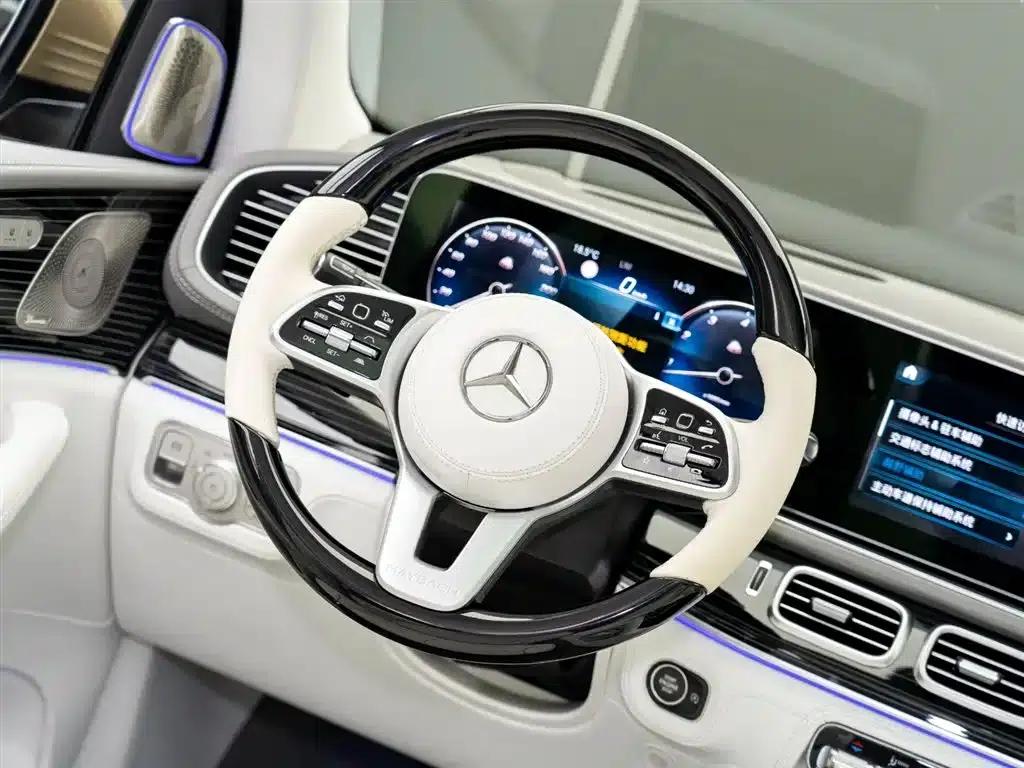 2022 Maybach GLS 600 4MATIC Premium Edition — миниатюра 17