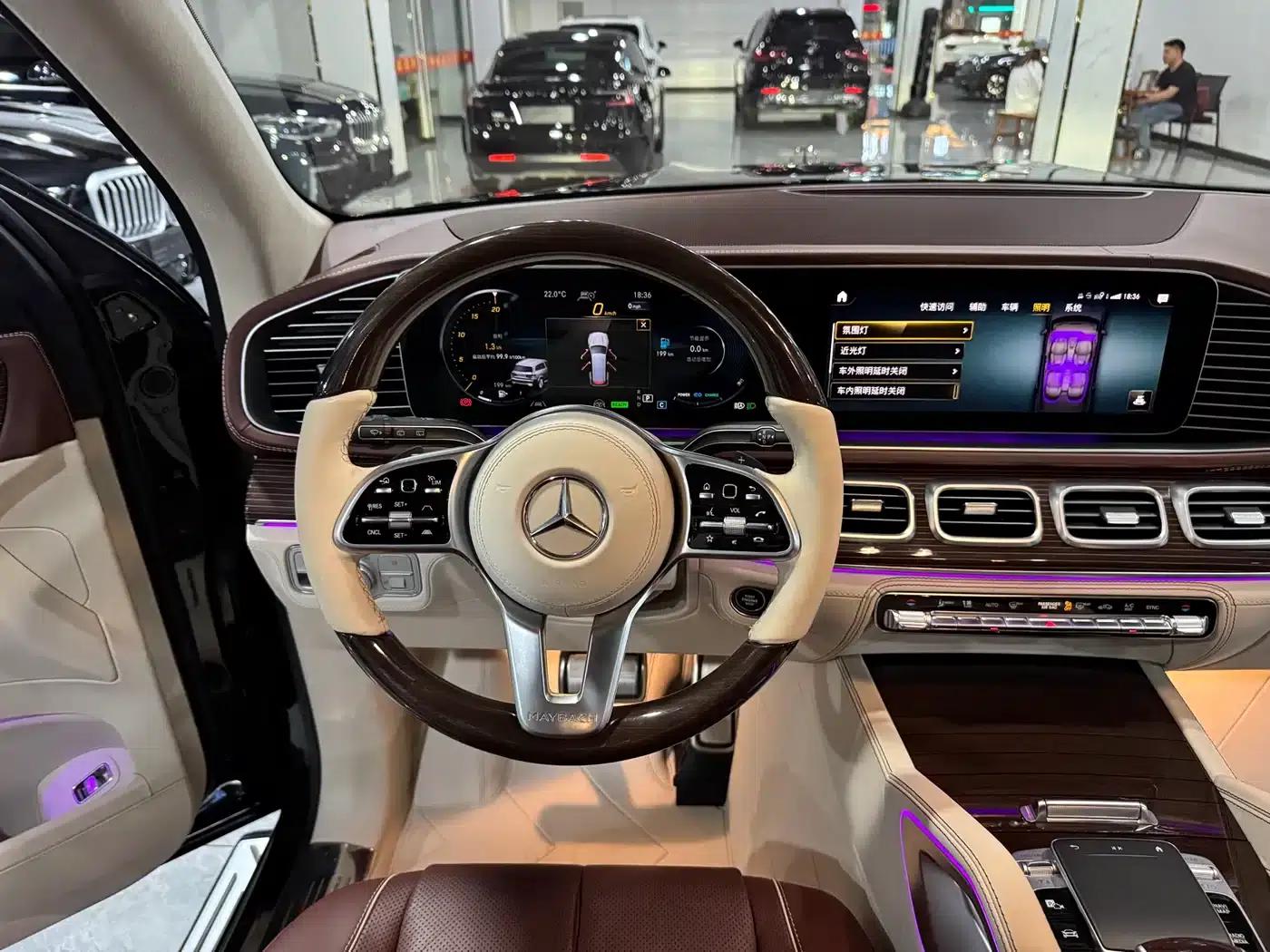 2022 Maybach GLS 480 4MATIC — миниатюра 12