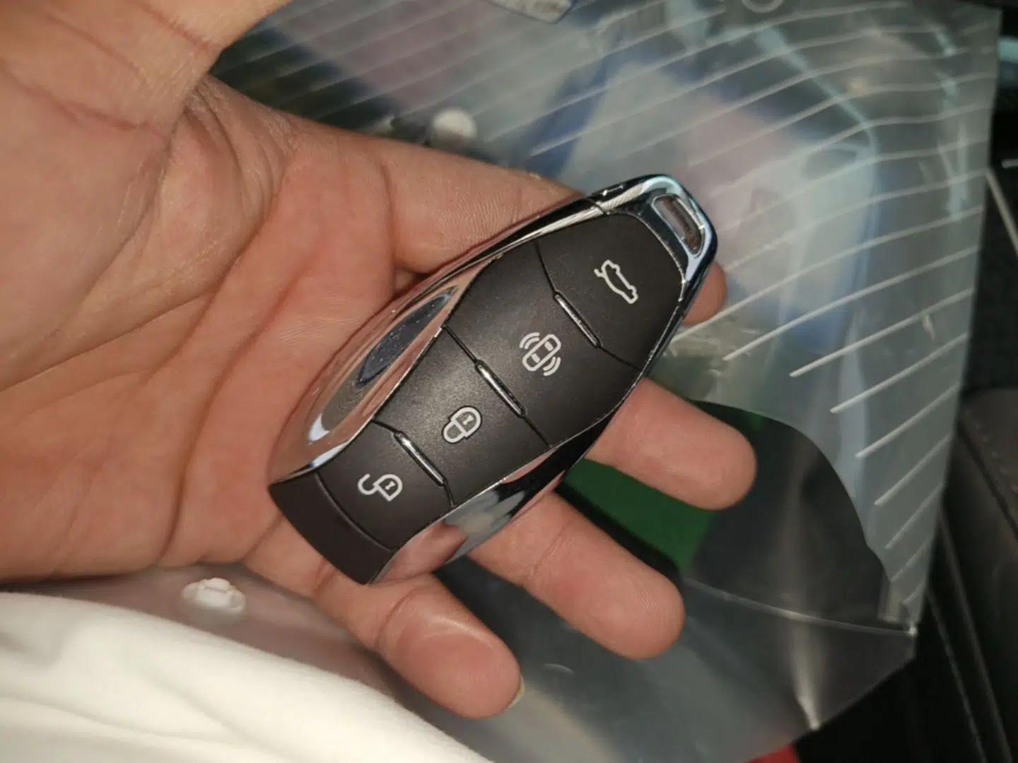 Hongqi HS3 PHEV 2025 Model 125km Jingwei 2 Millionth Anniversary Edition — миниатюра 12