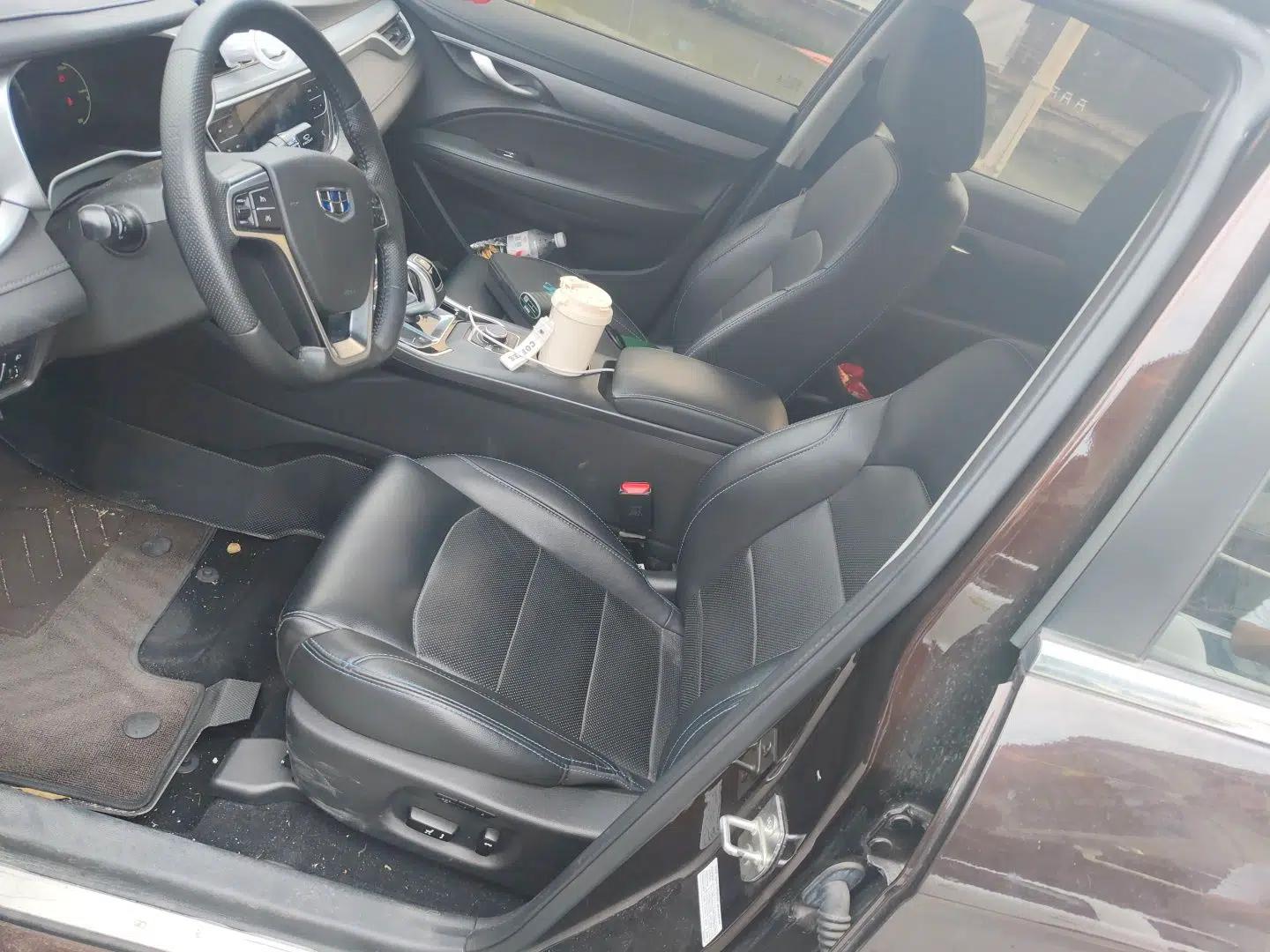 Geely Auto Emgrand New Energy 2018 EV450 Prestige Model — миниатюра 16