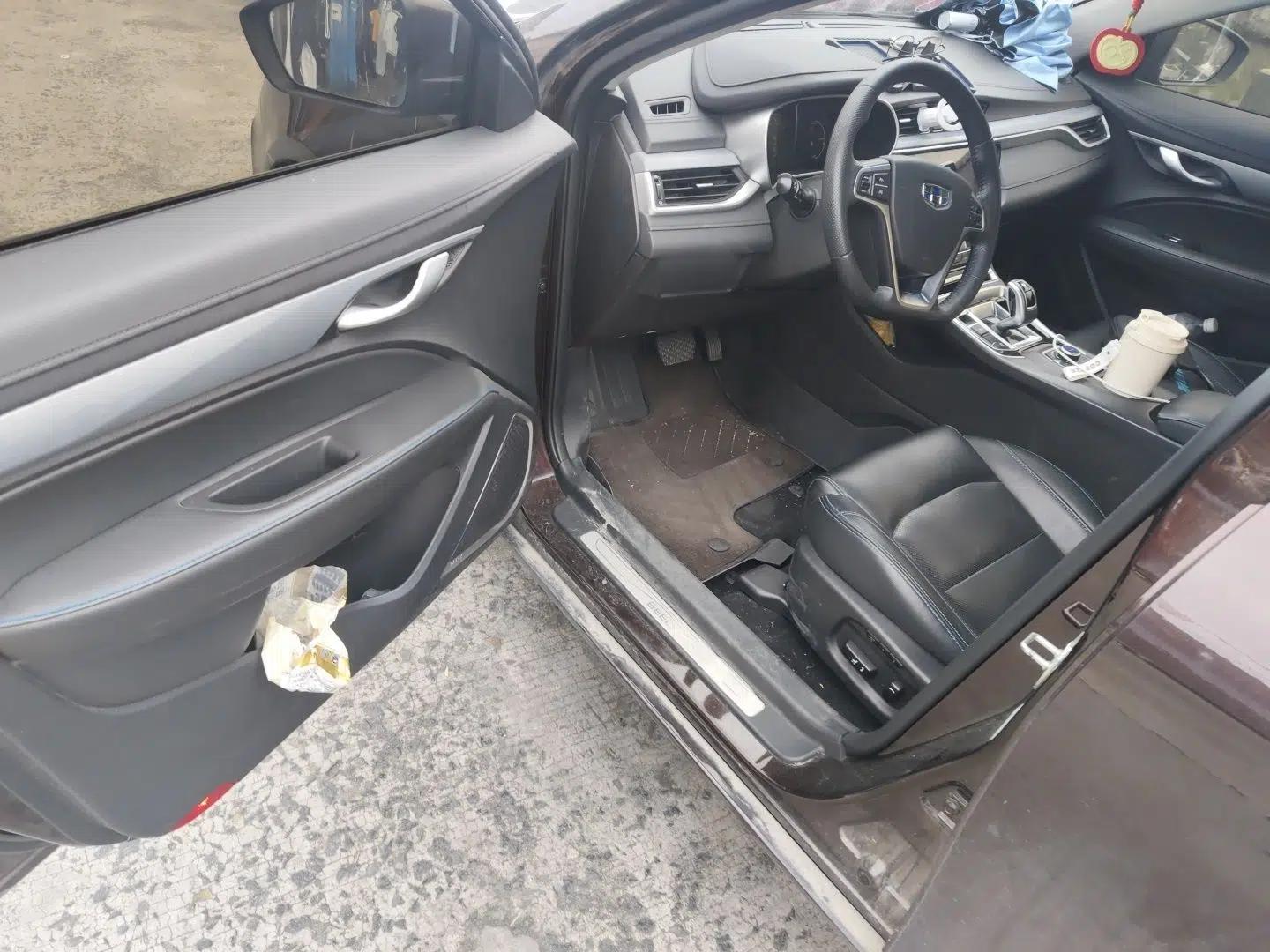 Geely Auto Emgrand New Energy 2018 EV450 Prestige Model — миниатюра 17