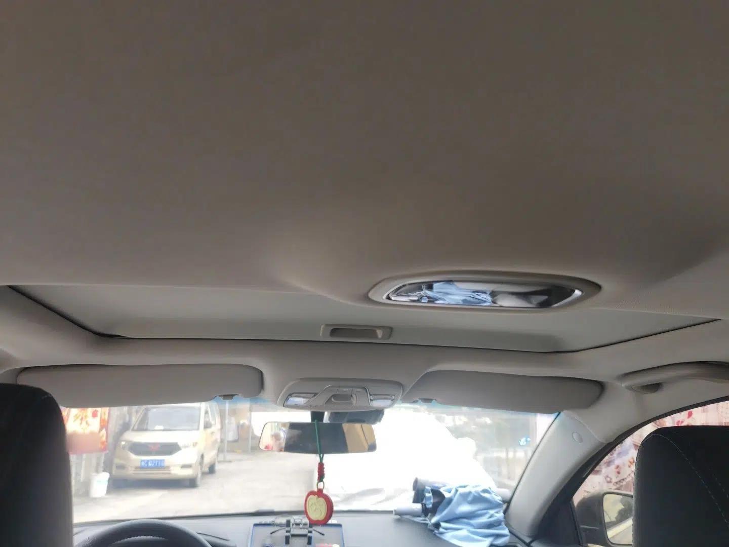 Geely Auto Emgrand New Energy 2018 EV450 Prestige Model — миниатюра 19