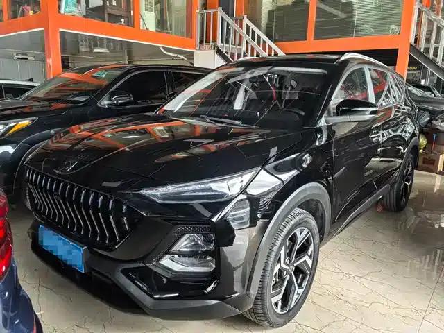 Sihao X8 2021 300T DCT Luxury Intelligent Connected Edition 6-seater