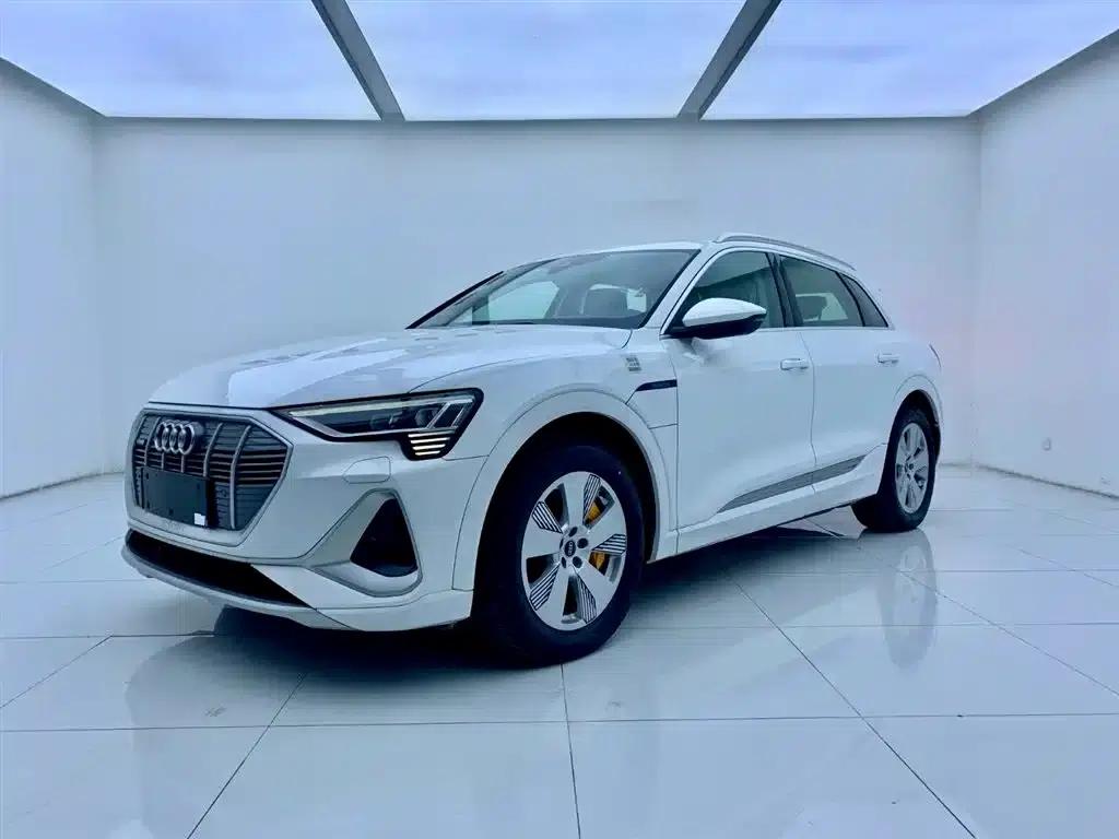 Audi e-tron 2021 50 quattro Luxury — миниатюра 1