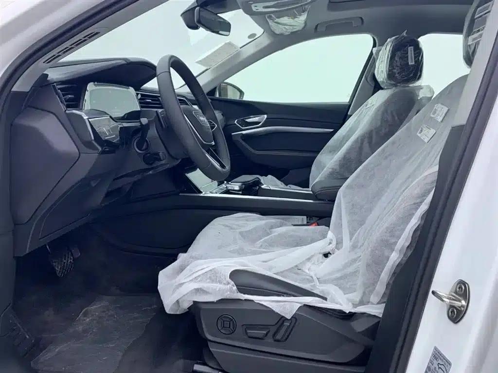 Audi e-tron 2021 50 quattro Luxury — миниатюра 11